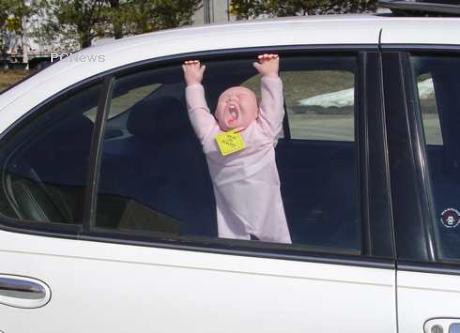 Baby on Board, hanging in the window