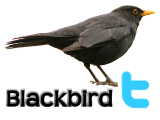 Blackbird logo